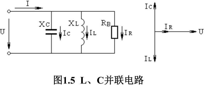 L、 C并聯(lián)電路